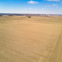 Productive Farmland For Sale in Central IL