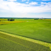 Productive Farmland For Sale in Central IL images 2