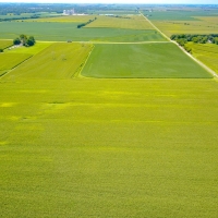 Productive Farmland For Sale in Central IL images 3
