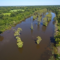 167 ac - Farm  Lake  River Frontage near Town - BIG PRICE REDUCTION images 2