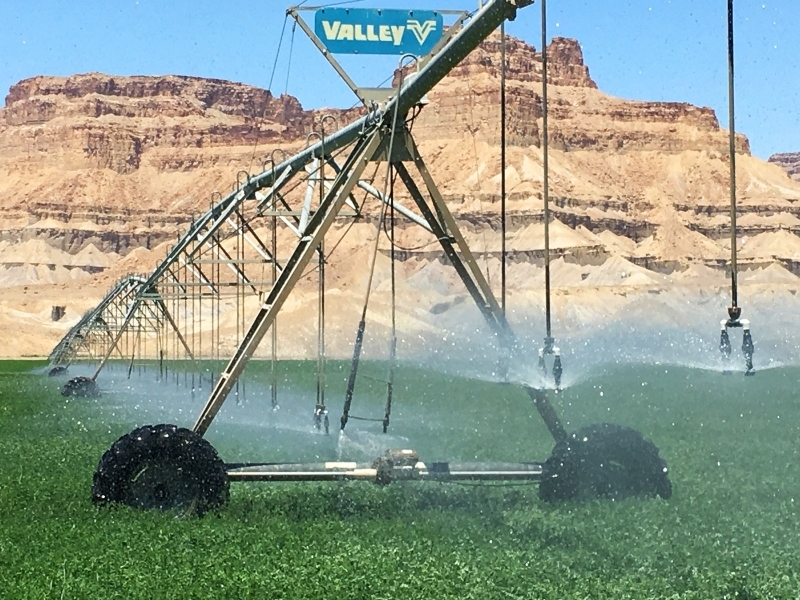Irrigated Riverfront Ranch For Sale in Green River  UT featured image