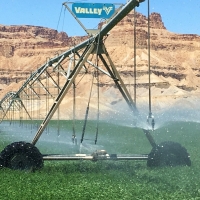 Irrigated Riverfront Ranch For Sale in Green River  UT
