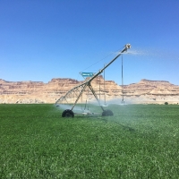Irrigated Riverfront Ranch For Sale in Green River  UT images 4