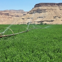 Irrigated Riverfront Ranch For Sale in Green River  UT images 5