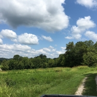 Private Country Home with Wooded Acreage For Sale in Tompkinsville  KY images 2