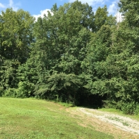 Private Country Home with Wooded Acreage For Sale in Tompkinsville  KY images 3