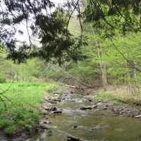 21 acres Hunting Land in Solon NY