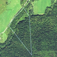 21 acres Hunting Land in Solon NY images 4