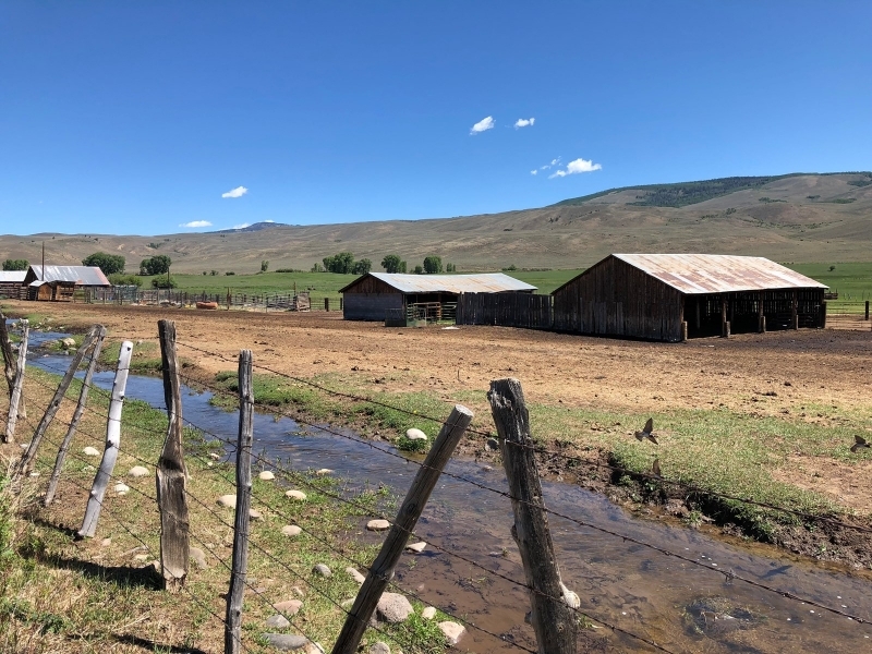 Sustainable Cattle Ranch For Sale in Gunnison County  CO featured image