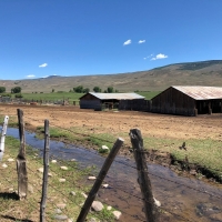Sustainable Cattle Ranch For Sale in Gunnison County  CO