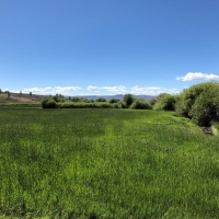 Sustainable Cattle Ranch For Sale in Gunnison County  CO images 3