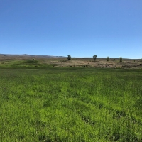 Sustainable Cattle Ranch For Sale in Gunnison County  CO images 4