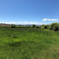 Sustainable Cattle Ranch For Sale in Gunnison County  CO images 5