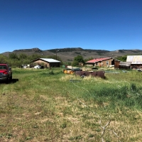 Sustainable Cattle Ranch For Sale in Gunnison County  CO images 6