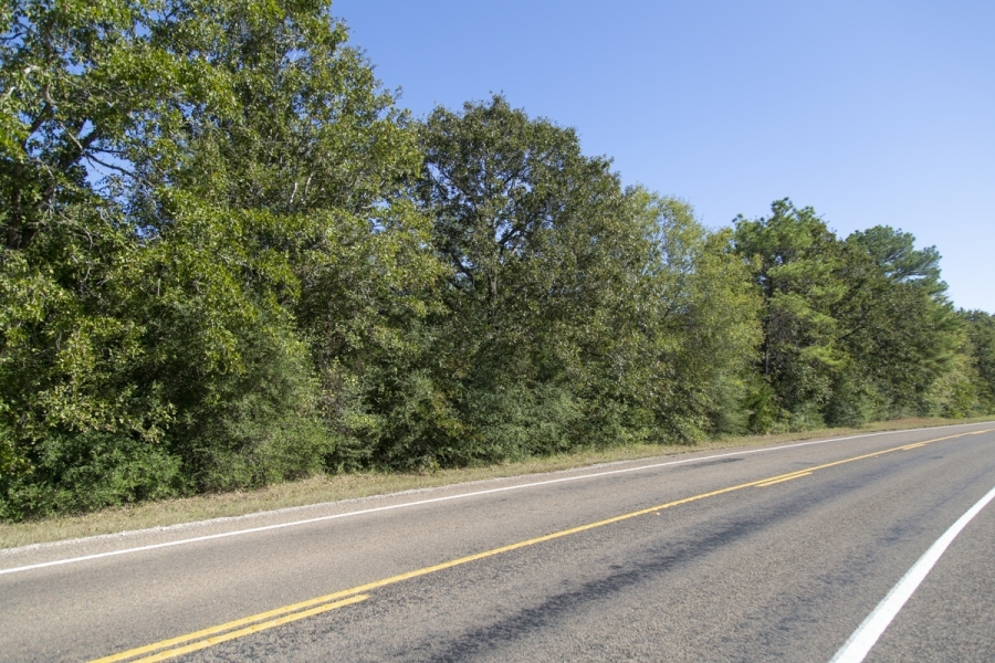 330 Acres &nbsp; FM 230 &nbsp; Tract 6 featured image