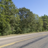 330 Acres &nbsp; FM 230 &nbsp; Tract 6