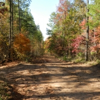 Oaky Woods Ridge Farm images 2