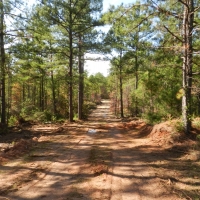 Oaky Woods Ridge Farm images 4