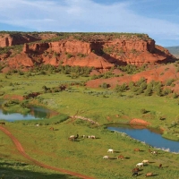 Red Reflet Ranch images 2