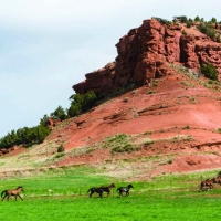 Red Reflet Ranch images 5
