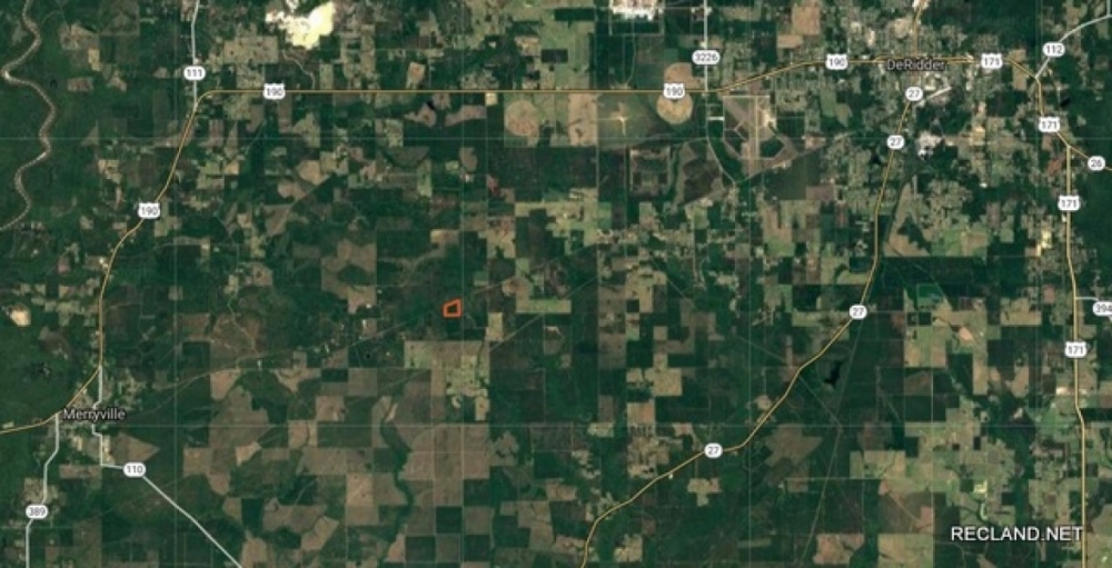 30 ac Pine Timberland Hunting Land for Sale