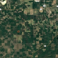 30 ac - Pine Timberland