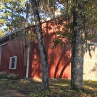 Hernando County House and Acreage images 2