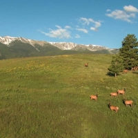 Elk Ridge Ranch images 2