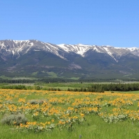 Elk Ridge Ranch images 4