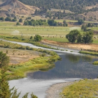 Circle W Ranch images 2