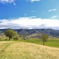 Circle W Ranch images 3