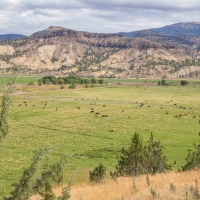 Circle W Ranch images 4