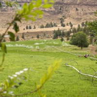 Circle W Ranch images 5
