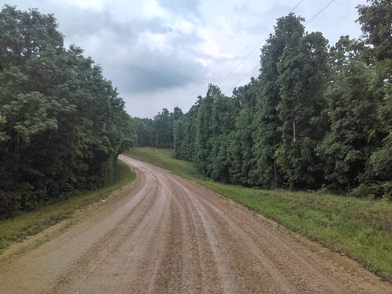 Timber Tract &nbsp; Hunting Land For Sale in Clay County  AR featured image