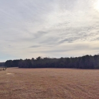 139 Acres Woods &nbsp; Pasture images 3