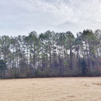 139 Acres Woods &nbsp; Pasture images 4