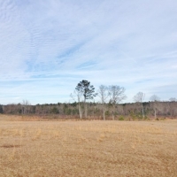 139 Acres Woods &nbsp; Pasture images 6