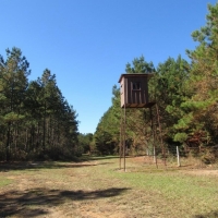Maude Lane 82 Acres