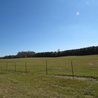 Maude Lane 82 Acres images 4