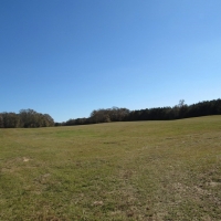 Maude Lane 82 Acres images 5
