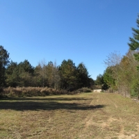 Maude Lane 82 Acres images 6