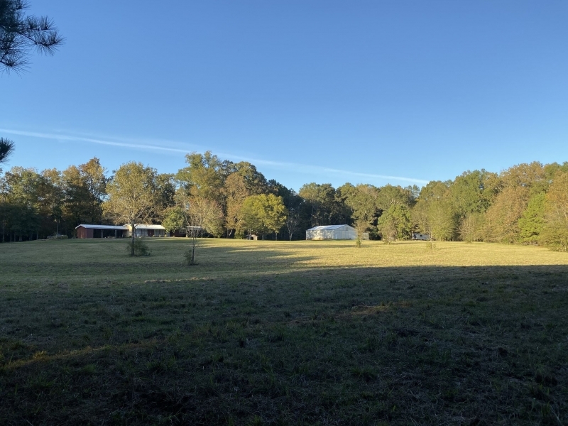 61.4 Acres with a Home at 802 Heslep Street in Rankin County in Pelahatchie  MS featured image