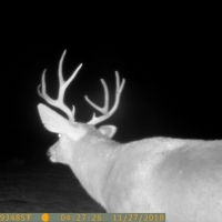 East Rim Ranch images 2