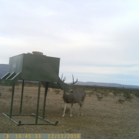 East Rim Ranch images 3