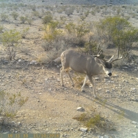 East Rim Ranch images 4