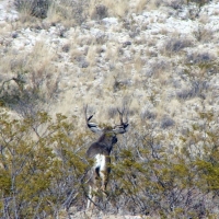 East Rim Ranch images 5