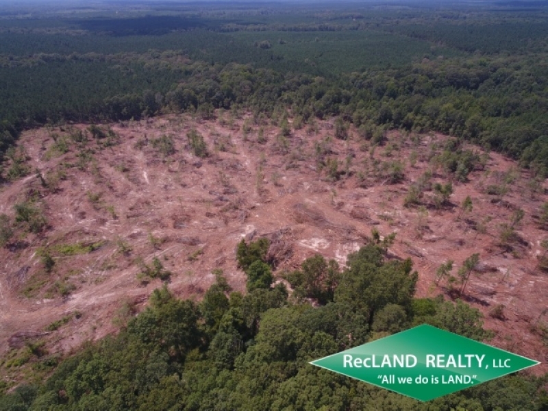36 ac - Clear Cut Timberland featured image