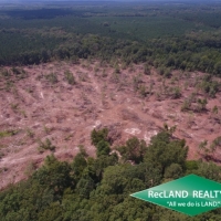 36 ac - Clear Cut Timberland