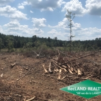 36 ac - Clear Cut Timberland images 2