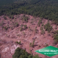 36 ac - Clear Cut Timberland images 3